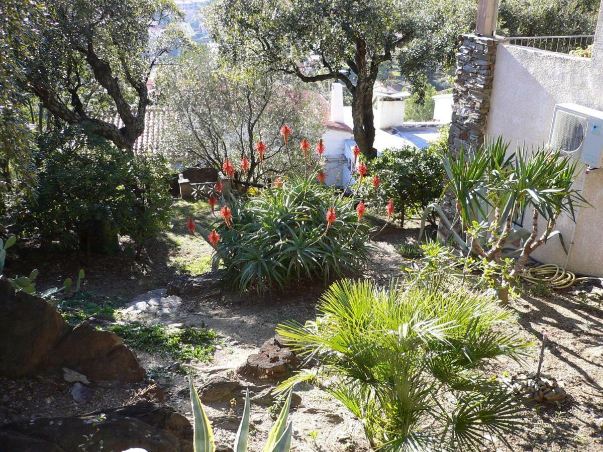 Les Mimosas Villa Collioure Exterior photo